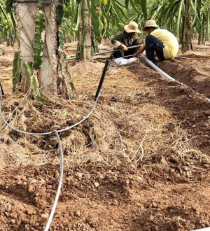 HÌNH ẢNH THI CÔNG DỰ ÁN TƯỚI TỰ ĐỘNG